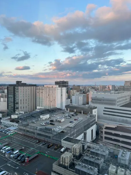 ひな奥様メモリアル