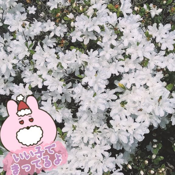 １９時から♡