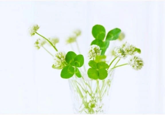 かおりさ~ん💞😘