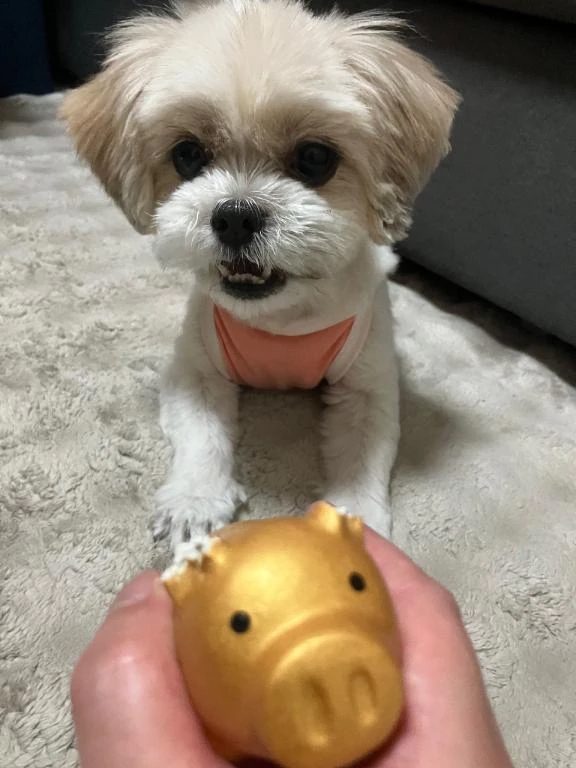 いちか【「S」ディプロマ保持者】たっぷりHoney oil SPA