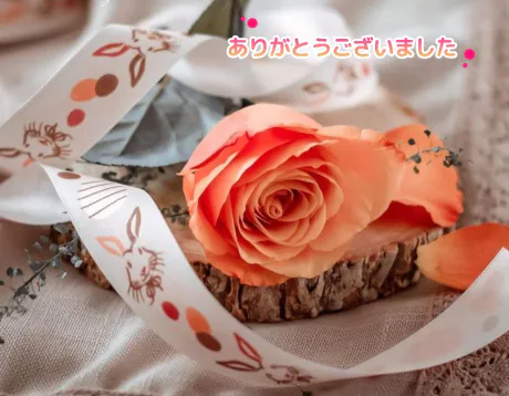 今日のお礼/ゆりか