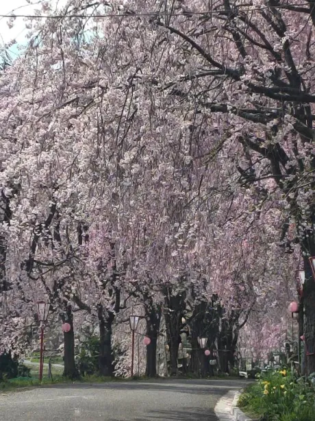 ありがとう/後藤(ごとう)