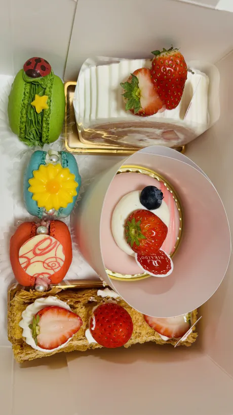 🌙‪‪ᩚ✩.*˚/るい【青森大釈迦】