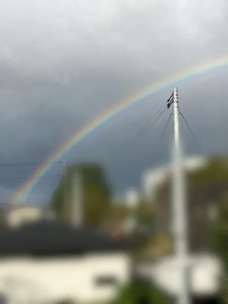 ヒカリのブログ 🌈✨