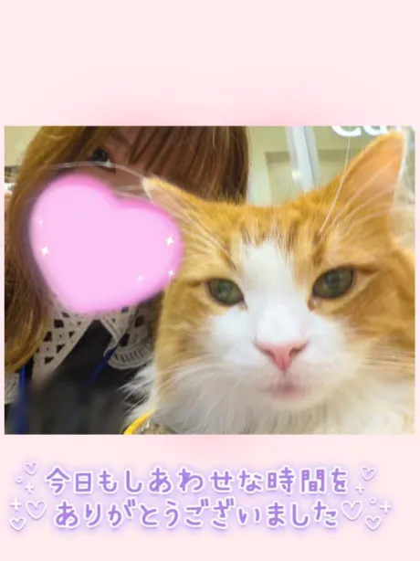ほのか宮城大崎古川ちゃんこ