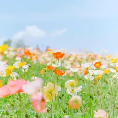 おはようございます/ゆりか