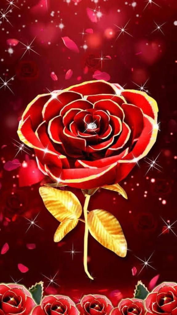 💞…更新…💞