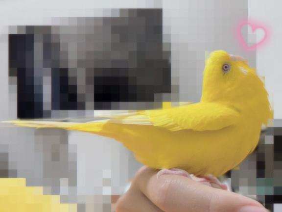大興奮💕💕