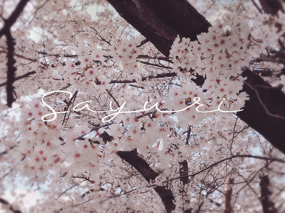 今春こそ ⋯ ！ /さゆり