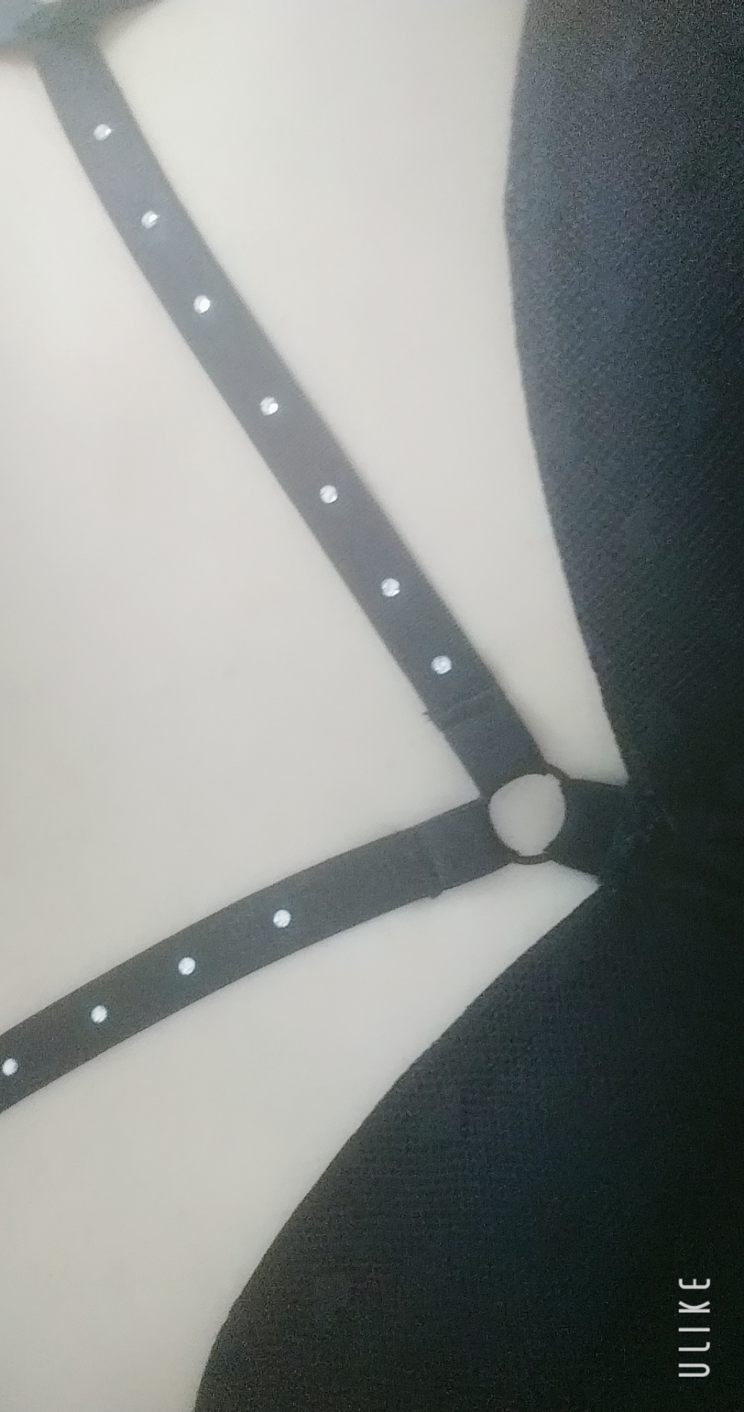 キラリ✨/緊急入店マオリ(弘前)