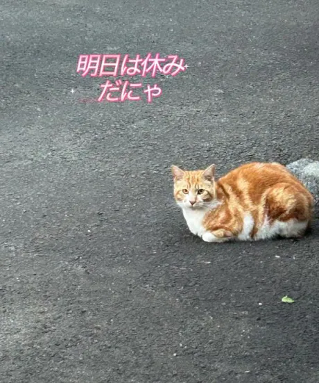 イナホ人妻生レンタルーNTRー