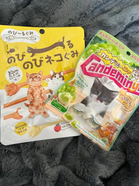 なぎさREGALO 久留米店
