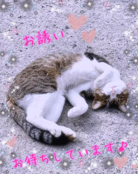 ちかえおばさんの店