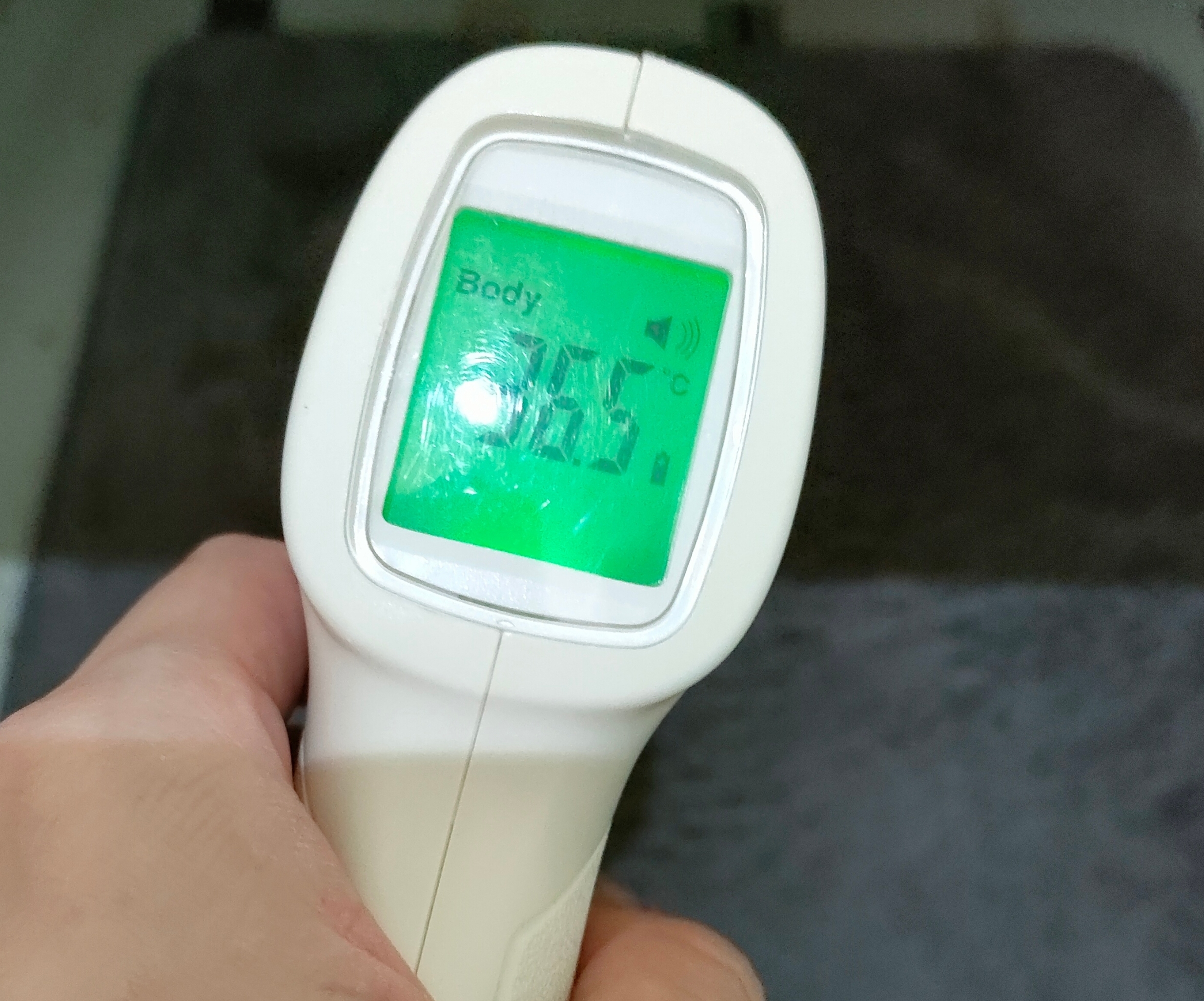 風強い💦/あゆみ【青森大釈迦】