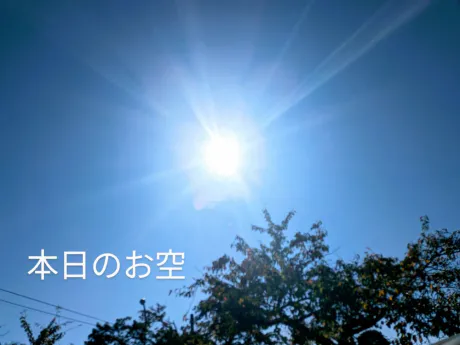 10/10 11:15みこさん[青森]