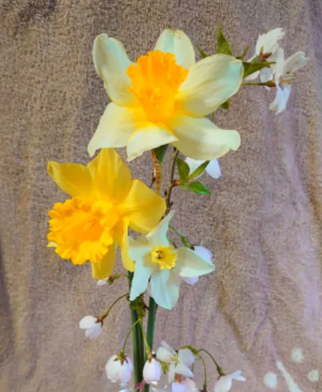 お花のプレゼント/あやの 奥様