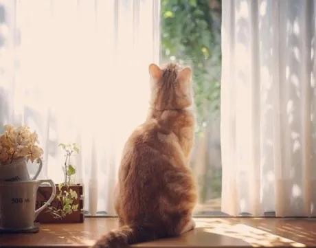 おはようございます/ゆりか
