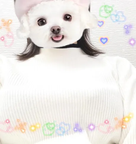 るる愛 LAND-アイランド-