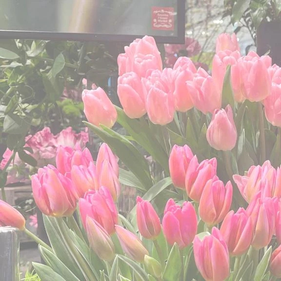 新人・遥香(はるか)グランドオペラ福岡