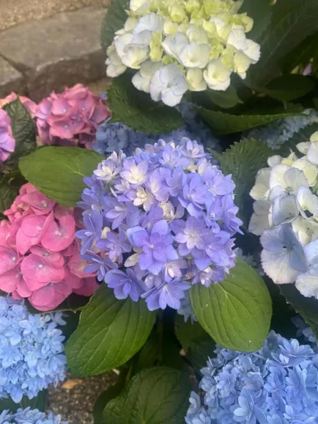 栞花(かんな)のブログ 5/2出勤しますよ～- ̗̀ 📢💭