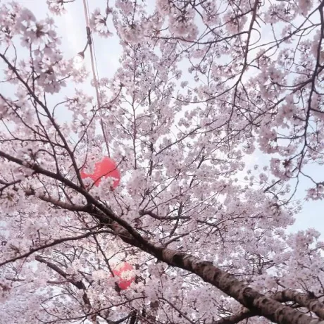 ありがとう♡/風俗初体験 くれあ