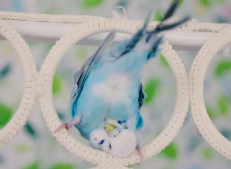 おはようございます♪/ゆりか
