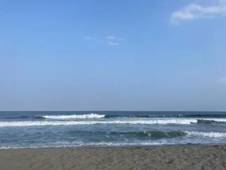 リクエスト/みいな