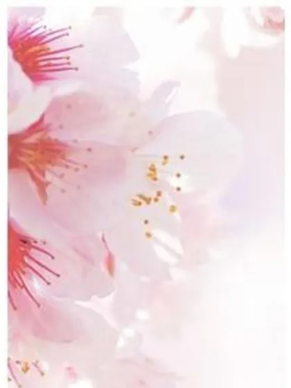 こい(青森/業初）/CLUB華娘