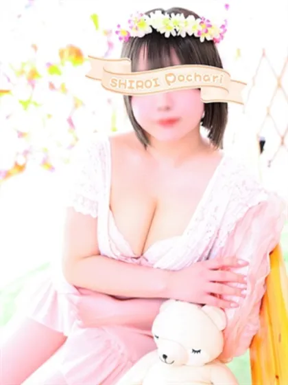 ちい白いぽっちゃりさん-仙台店-