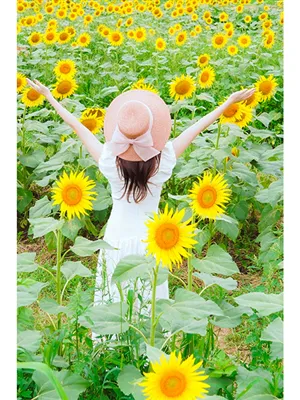 りりか土浦人妻花壇