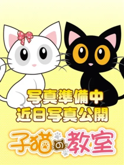 ☆のあちゃん☆/子猫の教室