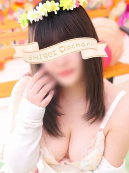 ことり/白いぽっちゃりさん-仙台店-