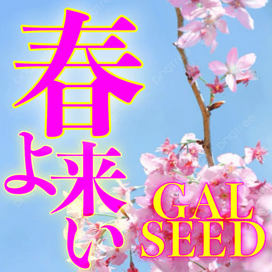 GAL SEED